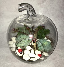 Kk terrarium elma 3 kakts merutiyet ieki maazas 