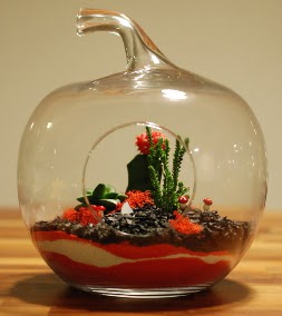 Elma Terrarium 3 kakts orta boy Sincan iek siparii 