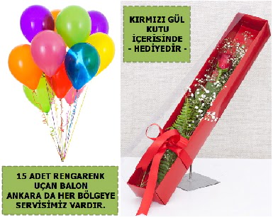 15 Adet uan balon ve kutuda krmz gl Eryaman mahallesi iekiler 