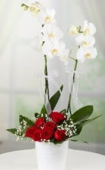 2 dall beyaz orkide 7 adet krmz gl Sincan iek siparii 