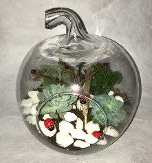 Kk terrarium elma 3 kakts merutiyet ieki maazas 