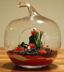 Elma Terrarium 3 kakts orta boy Sincan iek siparii 