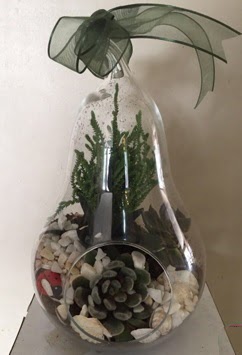 Orta boy armut terrarium 3 kakts Batkent iek siparii sitesi 