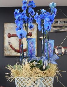 4 dall zel mavi orkide vedik gvenli kaliteli hzl iek 